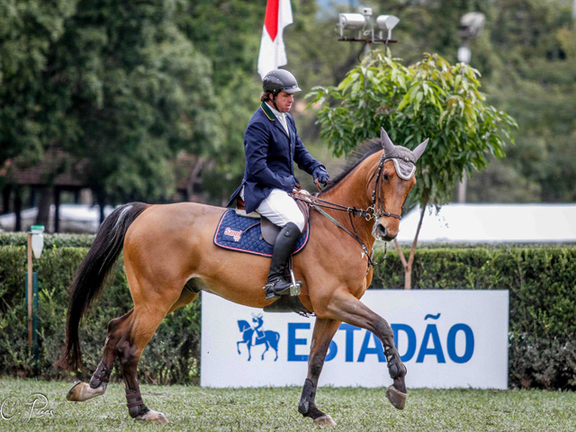 Vem aí o Internacional e Nacional 44ª Copa São Paulo: uma experiência equestre completa