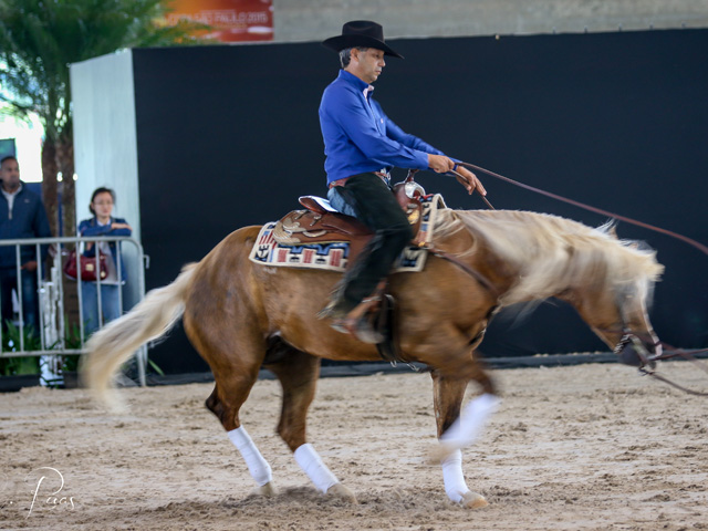 Horse Experience: a plataforma que deu charme especial a Copa São Paulo 2015