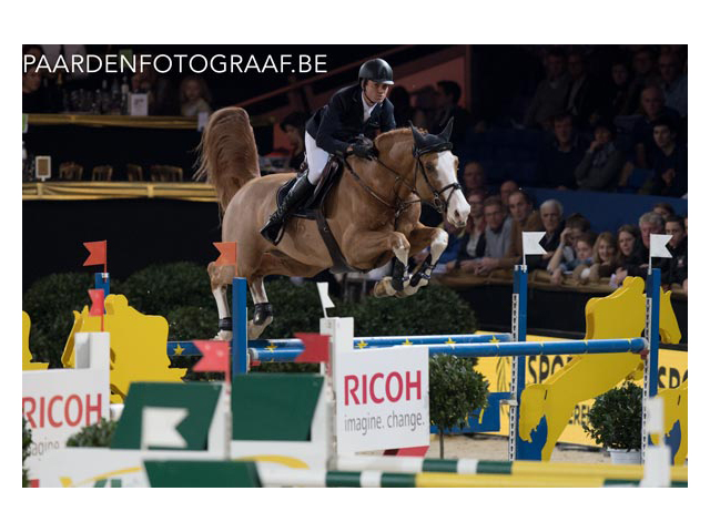 Cassio Rivetti fatura prova para cavalos novos no Internacional de Mechelen