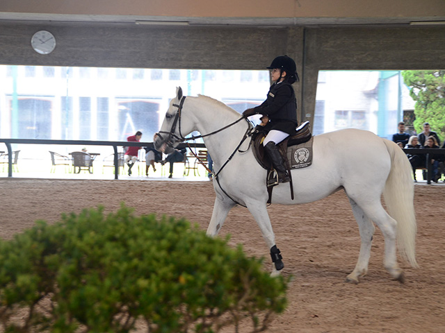 Formando campeões | Geração futuro da Escola de Equitação SHP fez bonito no picadeiro coberto