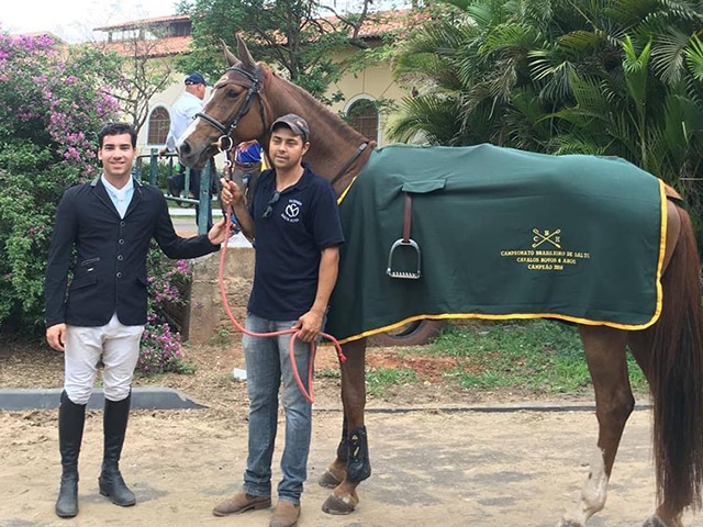 Placar do Brasileiro de Cavalos Novos aponta qualidade da criação nacional