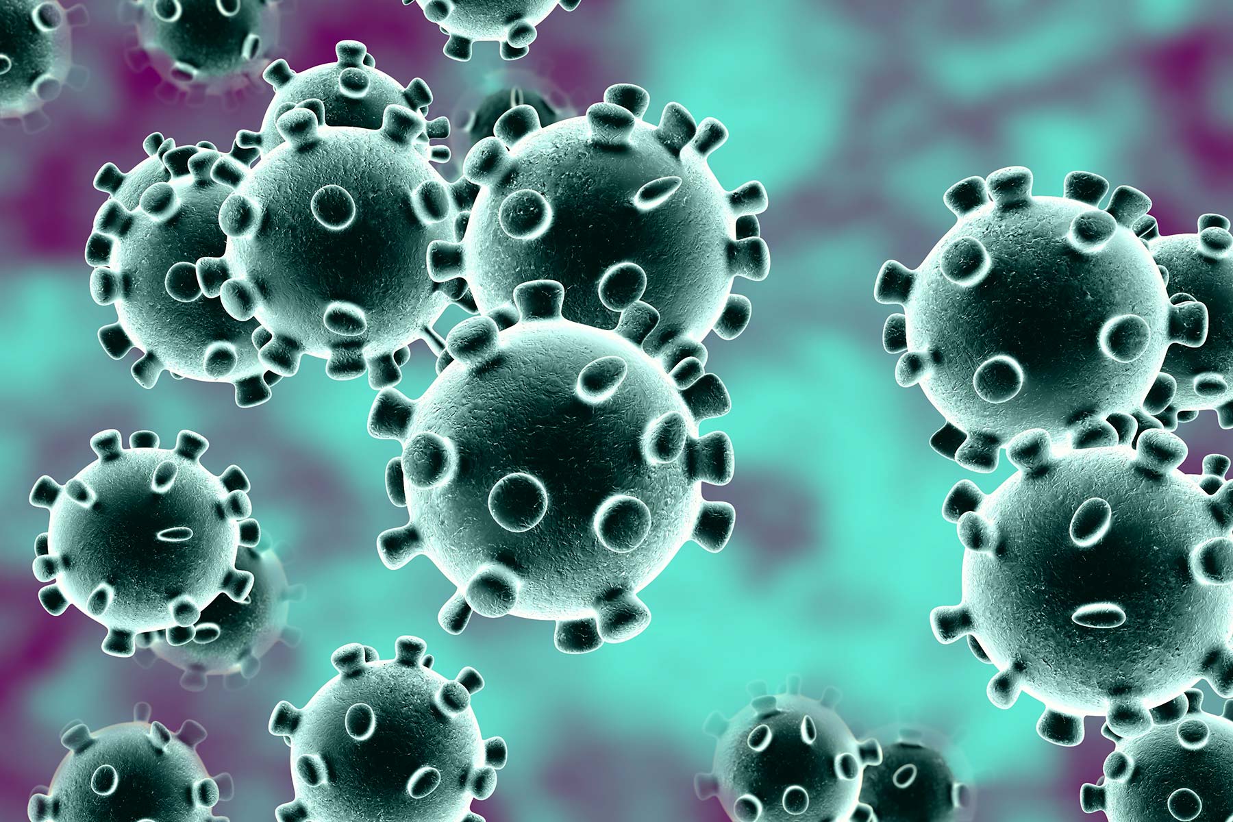 Atenção | Medidas coronavirus na SHP atualizadas