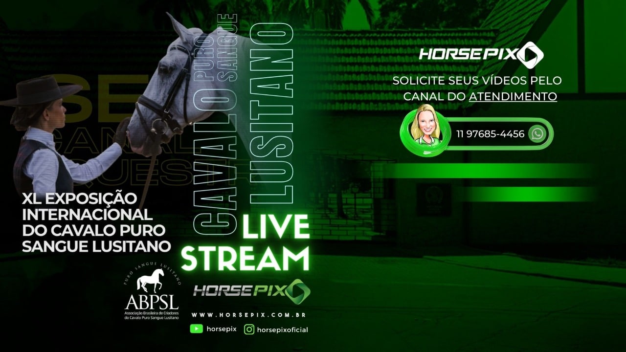 SHPTV AO VIVO:  XL Exposição Internacional do Cavalo Puro Sangue Lusitano – Horsepix