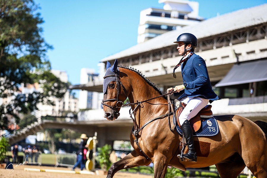 Atualizado: Ranking Paulista de Xadrez tem quatro fernandopolenses