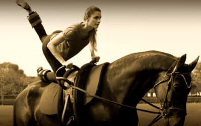 Horse&Fit