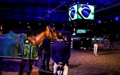 Primavera, égua Brasileira de Hipismo: campeã do GP no Indoor 2021, ouro no Pan 2023, top 5 em Paris 2024 com Stephan Barcha