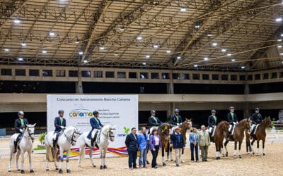 Ótima participação no Indoor de Adestramento – CDI2* e CAN Rancho Cariama – na Sociedade Hípica Paulista; estrutura e qualidade dos cavalos novos foram destaque