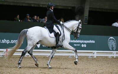 Indoor Internacional e Nacional de Adestramento Rancho Cariama movimenta Sociedade Hípica Paulista até domingo, 8/9