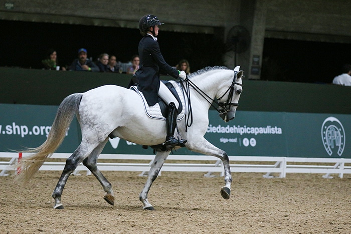 Indoor Internacional e Nacional de Adestramento Rancho Cariama movimenta Sociedade Hípica Paulista até domingo, 8/9