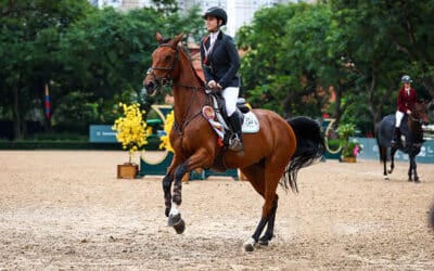 13 a 16/3 | 2ª Etapa do Ranking de Salto SHP coincide com Campeonato Paulista Senior Top e 1ª Taça FPH Salto Iniciantes: saiba mais e participe