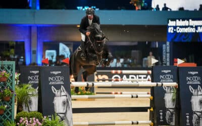 Cornetino JMen (TE) lidera categoria 7 anos e Eurocomerce Mulhouse do Igarapé, 8 anos, entre s Cavalos Novos no Indoor SHP